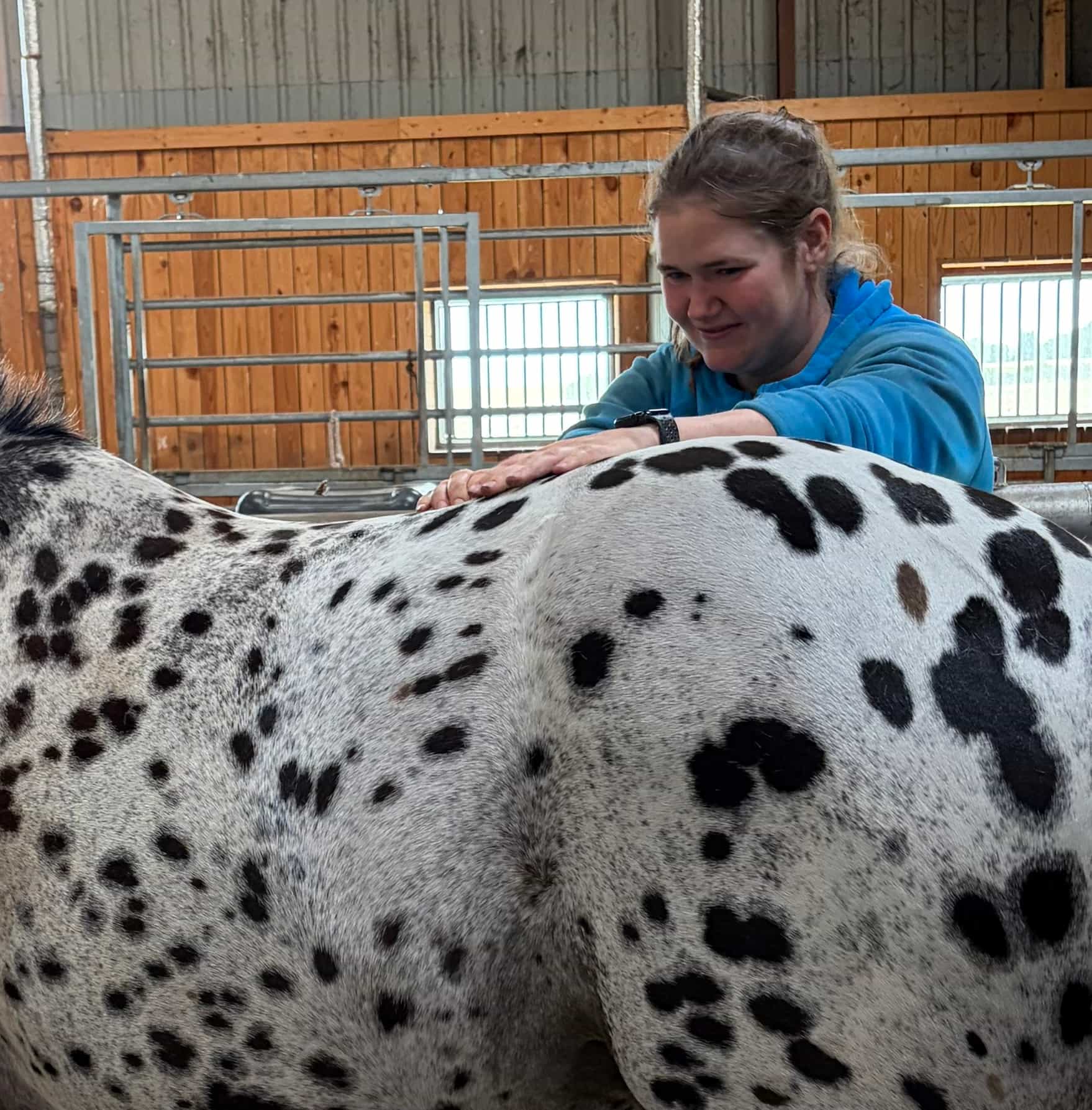 KST-behandling hest + Herle